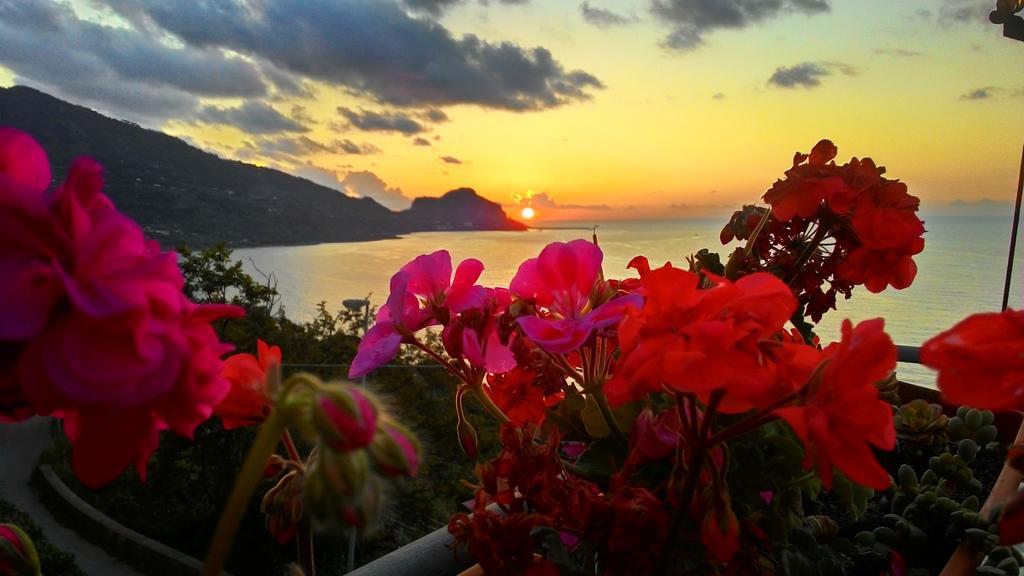 Framavi Villa Cefalù Kültér fotó